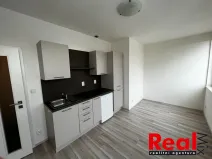 Pronájem bytu 1+kk, Brno - Veveří, Kounicova, 24 m2
