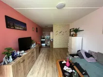 Prodej bytu 2+kk, Most, Josefa Ševčíka, 39 m2