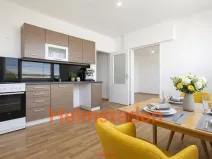 Pronájem bytu 1+kk, Karviná - Hranice, Slovenská, 36 m2