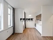 Pronájem bytu 1+kk, Praha - Žižkov, Lucemburská, 30 m2