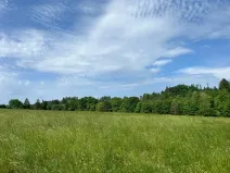 Prodej pole, Oselce, 8654 m2