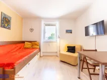 Pronájem bytu 1+kk, Loučná nad Desnou, 20 m2