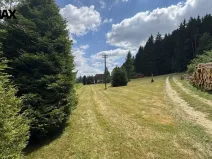 Prodej pozemku pro bydlení, Borušov, 805 m2