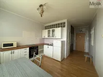 Pronájem bytu 1+1, Litvínov - Horní Litvínov, U Zámeckého parku, 35 m2