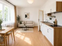 Pronájem bytu 1+kk, Praha - Nové Město, Biskupský dvůr, 26 m2