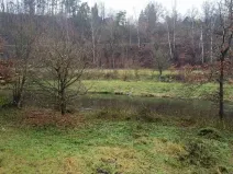 Dražba louky, Světlá nad Sázavou, 8621 m2