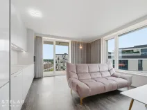 Pronájem bytu 2+kk, Ostrava - Moravská Ostrava, F. X. Riepla, 54 m2