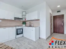 Pronájem bytu 1+1, Frýdek-Místek - Frýdek, K Hájku, 36 m2