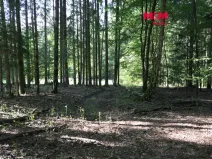 Prodej lesa, Chyňava - Lhotka u Berouna, 7138 m2