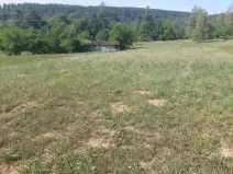 Prodej zahrady, Stražisko, 3220 m2