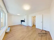 Pronájem bytu 1+kk, Praha - Chodov, Horynova, 32 m2