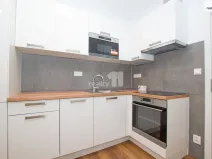 Pronájem bytu 1+kk, Liberec - Liberec II-Nové Město, Chrastavská, 25 m2