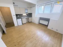 Pronájem bytu 1+kk, Praha - Nusle, U družstva Ideál, 26 m2