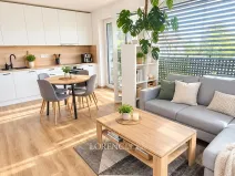 Pronájem bytu 2+kk, Hodonín, Žižkova, 46 m2