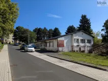 Prodej komerční nemovitosti, Litvínov - Horní Litvínov, Alešova, 506 m2