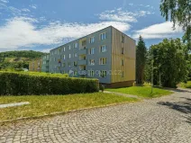 Prodej bytu 2+1, Žlutice, Vítězná, 52 m2