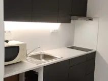 Pronájem bytu 1+kk, Brandýs nad Labem-Stará Boleslav - Brandýs nad Labem, Zahradnická, 34 m2