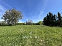 Prodej pozemku, Doubrava, 2355 m2