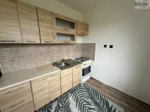Prodej bytu 2+1, Most, Pionýrů, 54 m2