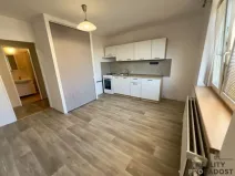 Pronájem bytu 1+1, Hodonín, Jarošova, 35 m2