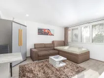 Prodej bytu 1+kk, Hradec Králové - Slezské Předměstí, Severní, 28 m2