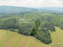 Prodej lesa, Hostašovice, 17015 m2