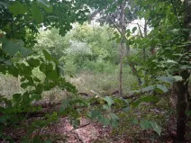 Prodej louky, Lednice - Nejdek, 5680 m2