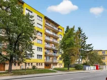 Pronájem bytu 2+1, České Budějovice, L. M. Pařízka, 53 m2