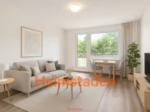 Pronájem bytu 1+1, Orlová - Lutyně, Masarykova třída, 51 m2