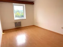 Pronájem bytu 1+kk, Olešná, 22 m2