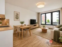 Pronájem bytu 1+kk, Plzeň - Jižní Předměstí, Železná, 31 m2