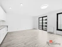 Prodej bytu 1+kk, Plzeň - Jižní Předměstí, Železná, 46 m2