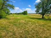 Prodej pozemku pro bydlení, Dyjákovice, 4308 m2