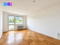 Prodej bytu 2+1, Přerov, Trávník, 53 m2