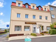 Prodej rodinného domu, Světec, Kostomlatská, 450 m2