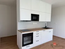 Pronájem bytu 1+kk, Plzeň - Bolevec, Krašovská, 36 m2