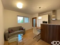 Pronájem bytu 2+kk, Mladá Boleslav, U Zahrádek, 45 m2