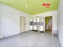 Prodej bytu 1+1, Plzeň - Skvrňany, Lábkova, 40 m2