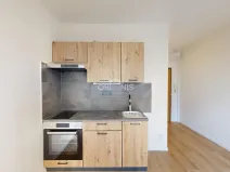 Pronájem bytu 1+1, Chomutov, Březenecká, 33 m2