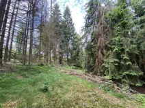 Prodej pozemku, Železná Ruda, 3072 m2