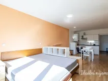 Pronájem bytu 1+kk, Brandýs nad Labem-Stará Boleslav - Brandýs nad Labem, Vrábská, 40 m2