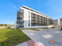 Prodej bytu 2+kk, Plzeň - Jižní Předměstí, Železná, 59 m2