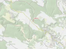 Dražba lesa, Oslavany, 113 m2