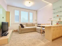 Prodej bytu 1+kk, Písek, 17. listopadu, 19 m2