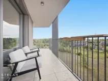Pronájem bytu 2+kk, Ostrava - Moravská Ostrava, F. X. Riepla, 53 m2