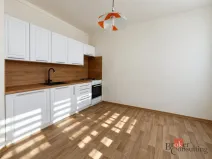 Pronájem bytu 2+kk, Opava - Kateřinky, Rolnická, 41 m2
