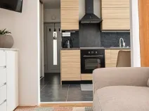Pronájem bytu 1+1, Zastávka, Havířská, 32 m2