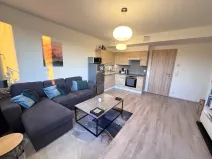 Pronájem bytu 2+kk, Praha - Holešovice, Jankovcova, 43 m2