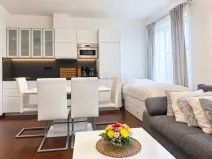 Prodej bytu 2+kk, Karlovy Vary - Dvory, Chebská, 50 m2