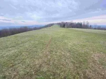 Dražba louky, Mírová pod Kozákovem, 14714 m2